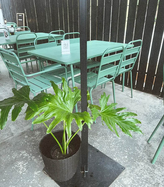 Imagen 3 de la propiedad